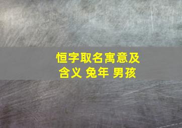 恒字取名寓意及含义 兔年 男孩